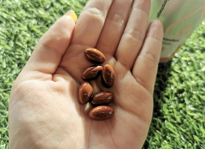 反恐特战队之猎影演员 反恐特战队之猎影演员