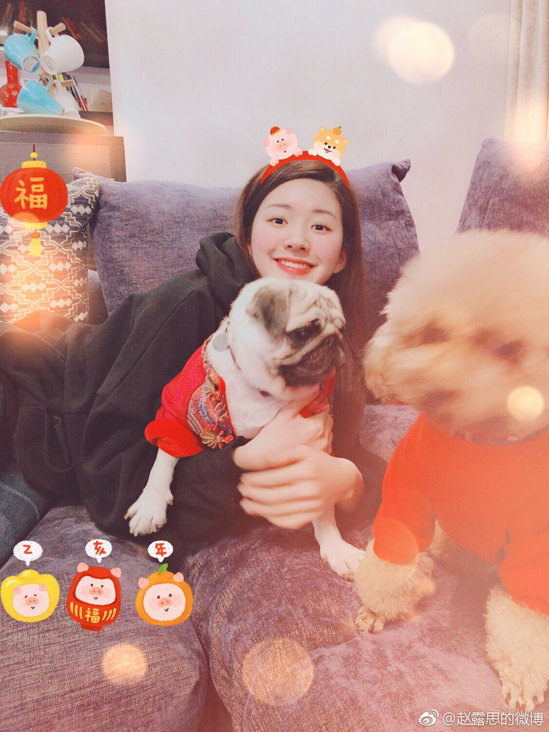 杨佑宁林心如主演的电视剧