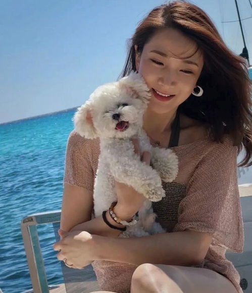 大话腐女插曲 大话腐女插曲