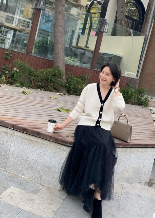 陈惠敏与陈慧琳的关系