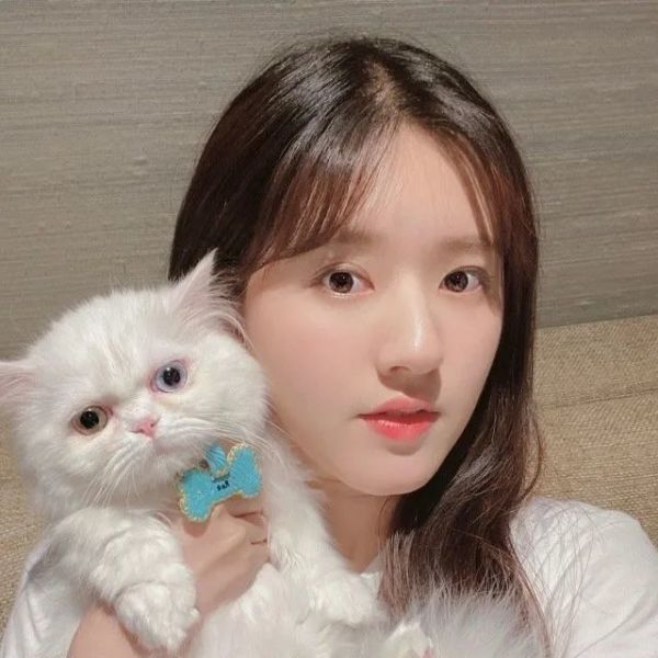 刘涛林峰主演的电视剧