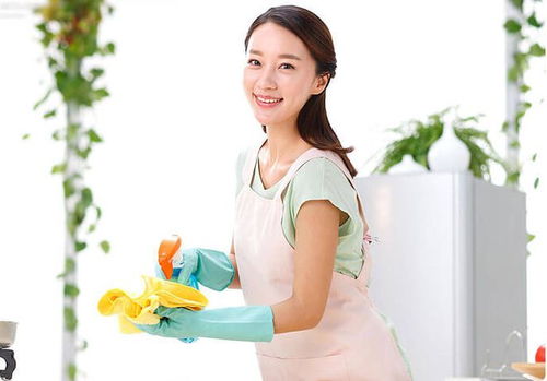 爱情公寓当年到底有多火 爱情公寓当年到底有多火