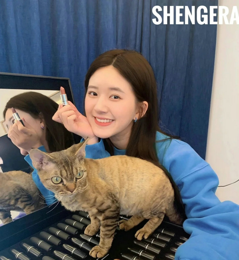 大宋惊世传奇 大宋惊世传奇江中鹤