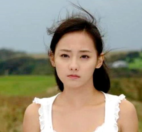 林心如最近上映的电视剧有